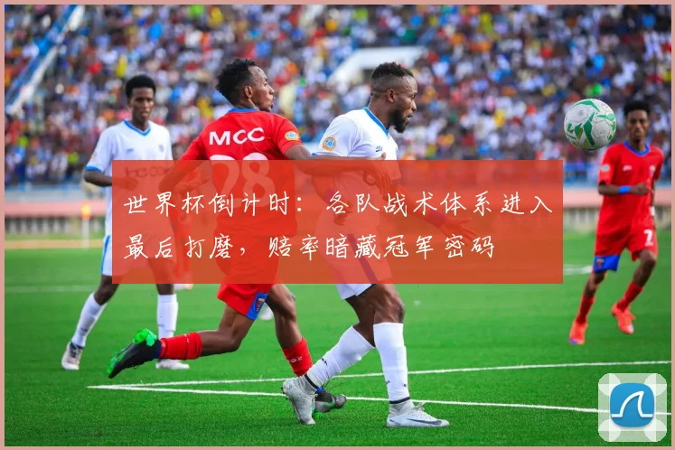 世界杯倒计时：各队战术体系进入最后打磨，赔率暗藏冠军密码