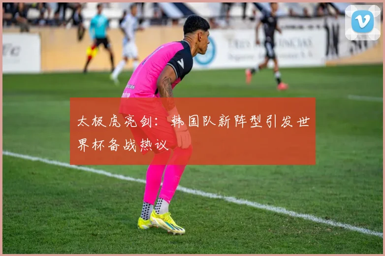 太极虎亮剑：韩国队新阵型引发世界杯备战热议