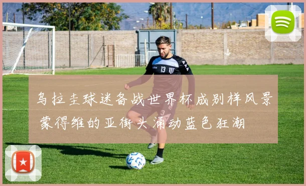乌拉圭球迷备战世界杯成别样风景 蒙得维的亚街头涌动蓝色狂潮