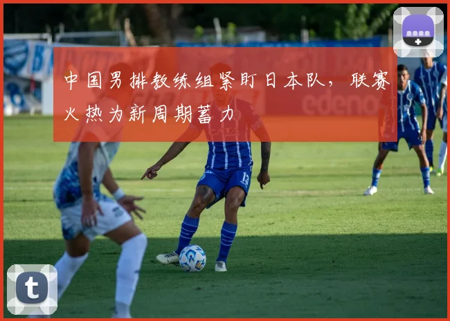 中国男排教练组紧盯日本队，联赛火热为新周期蓄力