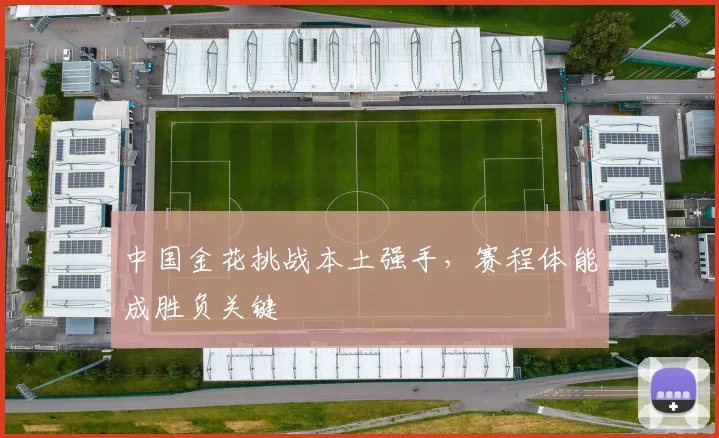 中国金花挑战本土强手，赛程体能成胜负关键